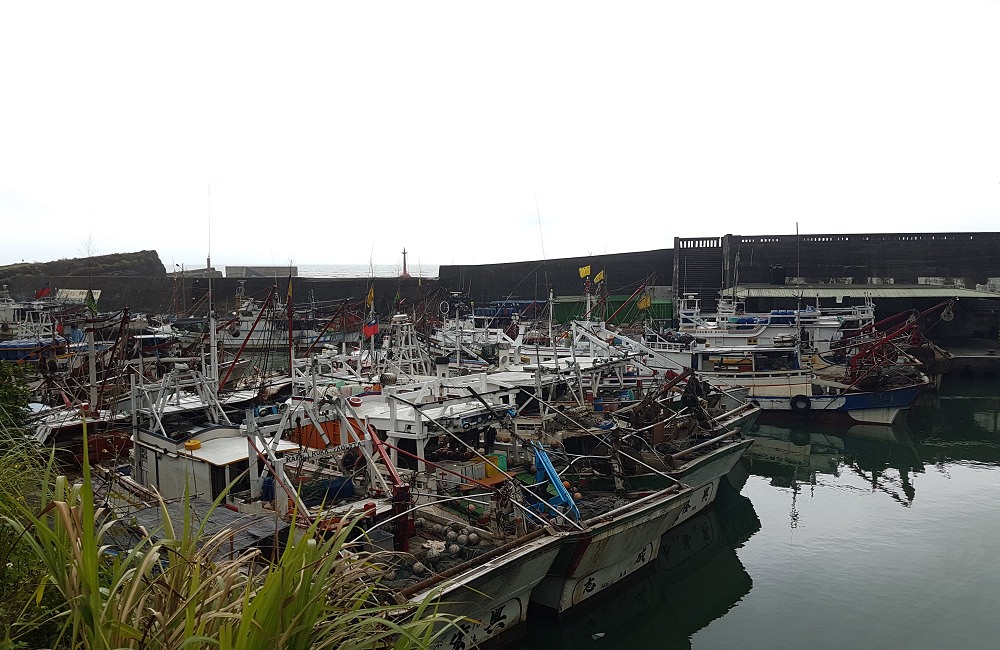 [宜蘭]大溪漁港大海到胃袋的最短距離 西 魩仔魚 小卷 櫻花蝦 西洋水產公司