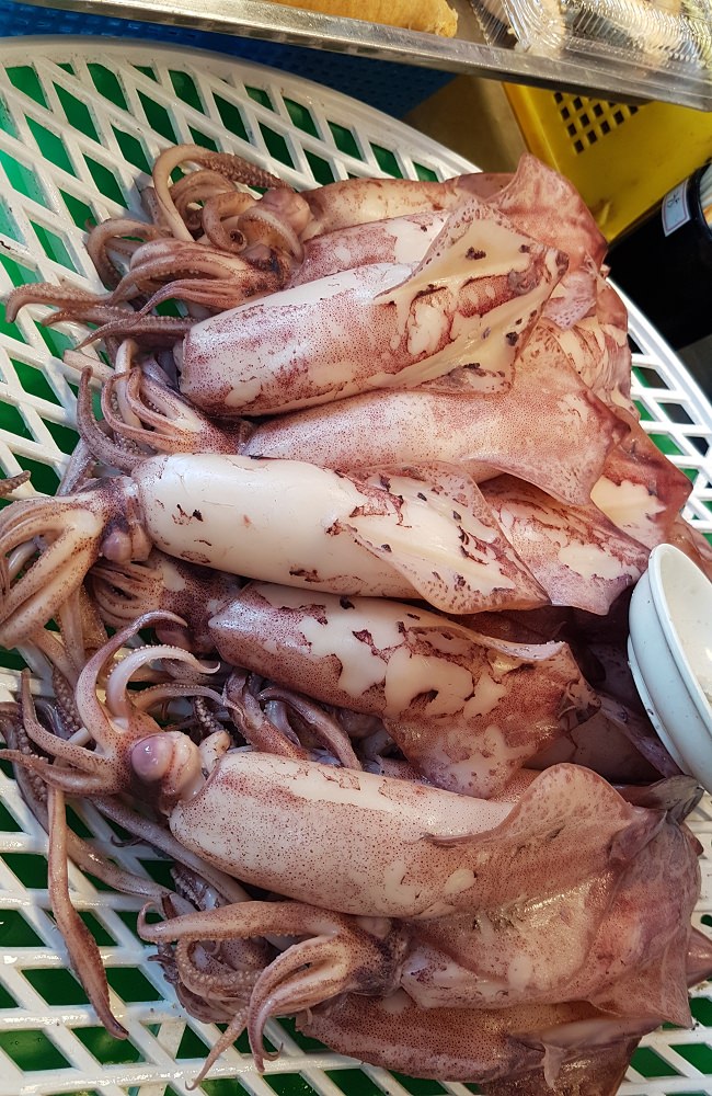 [宜蘭]大溪漁港大海到胃袋的最短距離 西 魩仔魚 小卷 櫻花蝦 西洋水產公司