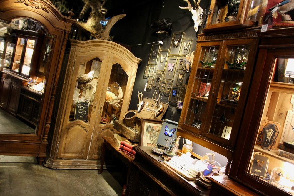 台南酒吧【仰角屋根WUGAN】不用去奇美博物館就可以看到超多動物標本 調酒也很厲害 約會餐酒推薦 台南酒吧【仰角屋根WUGAN】不用去奇美博物館就可以看到超多動物標本 調酒也很厲害 約會餐酒推薦