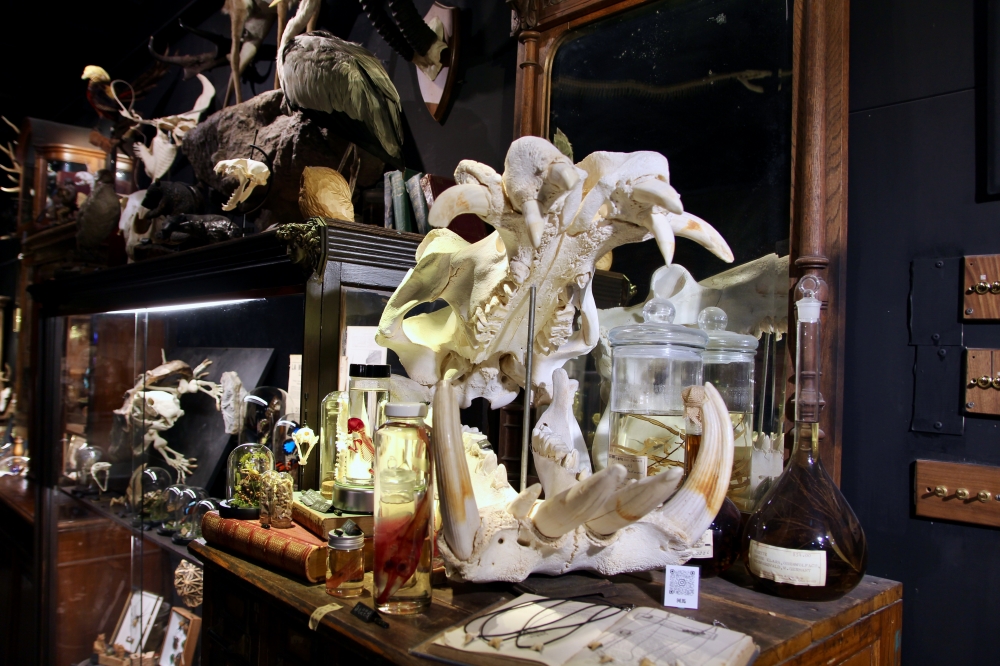 台南酒吧【仰角屋根WUGAN】不用去奇美博物館就可以看到超多動物標本 調酒也很厲害 約會餐酒推薦 台南酒吧【仰角屋根WUGAN】不用去奇美博物館就可以看到超多動物標本 調酒也很厲害 約會餐酒推薦