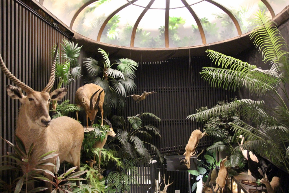 台南酒吧【仰角屋根WUGAN】不用去奇美博物館就可以看到超多動物標本 調酒也很厲害 約會餐酒推薦 台南酒吧【仰角屋根WUGAN】不用去奇美博物館就可以看到超多動物標本 調酒也很厲害 約會餐酒推薦