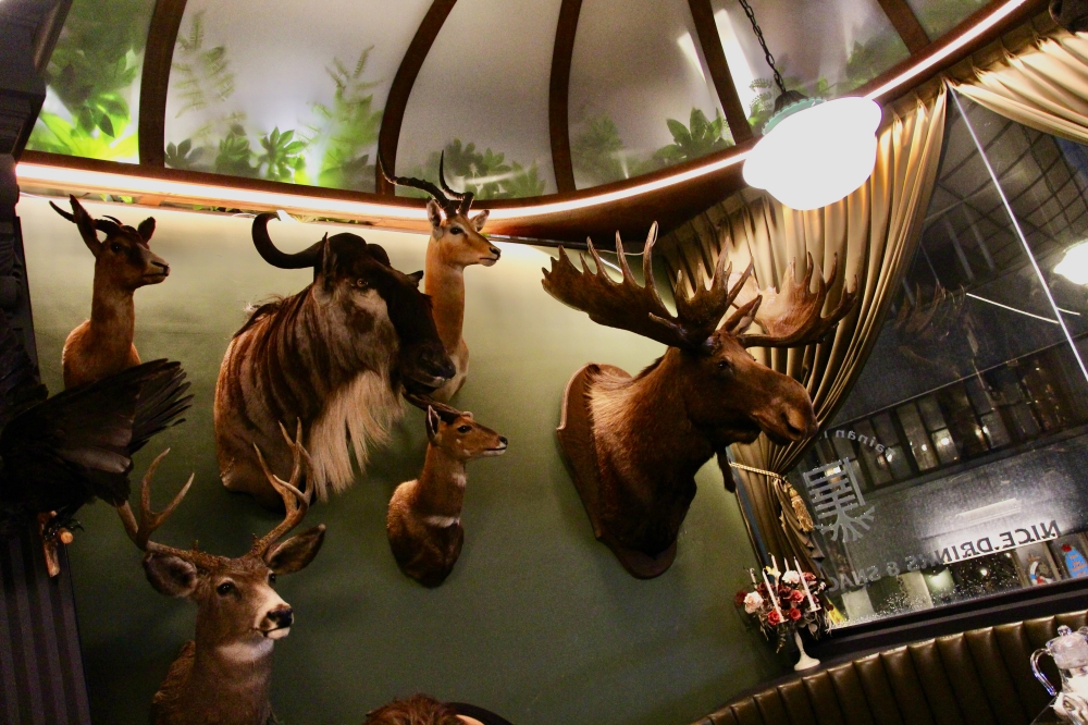 台南酒吧【仰角屋根WUGAN】不用去奇美博物館就可以看到超多動物標本 調酒也很厲害 約會餐酒推薦 台南酒吧【仰角屋根WUGAN】不用去奇美博物館就可以看到超多動物標本 調酒也很厲害 約會餐酒推薦