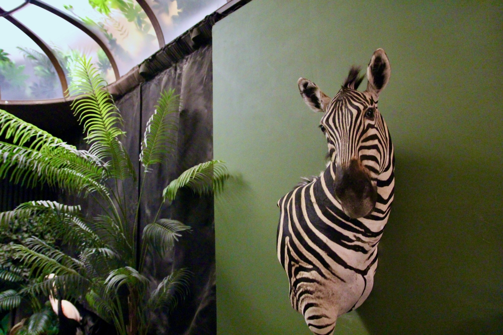 台南酒吧【仰角屋根WUGAN】不用去奇美博物館就可以看到超多動物標本 調酒也很厲害 約會餐酒推薦 台南酒吧【仰角屋根WUGAN】不用去奇美博物館就可以看到超多動物標本 調酒也很厲害 約會餐酒推薦