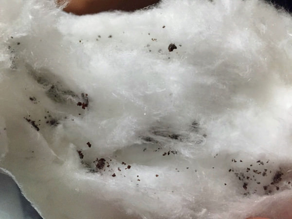 [宅配] 創意新滋味 綿菓子工坊-手工創意棉花糖